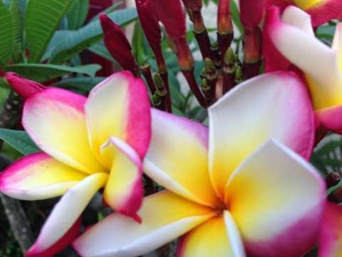 Photo: Beauty By Alexis K Photo: Beauty By Alexis K